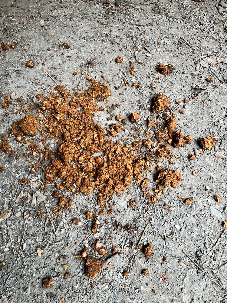 Giftköder-Evtl. Giftköder-Profilbild