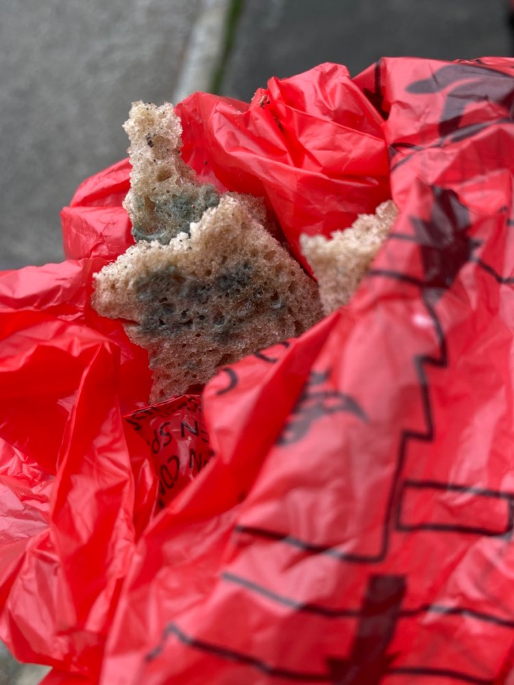 Giftköder-Vermutlich vergiftetes Brot-Profilbild