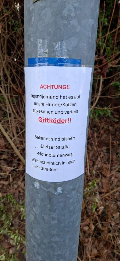 Giftköder-Giftköder-Profilbild