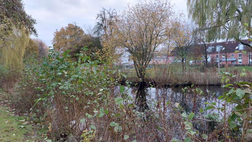 Giftköder-Giftköder im Weidedammpark-Profilbild