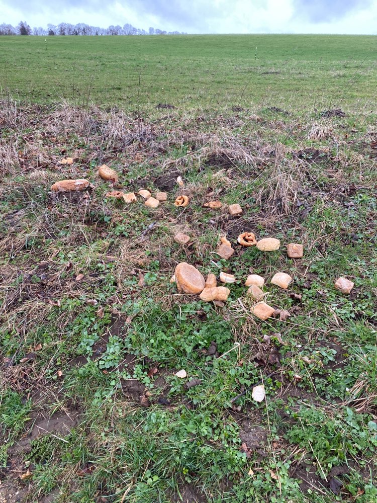 Giftköder-Brot und Wecken-Profilbild