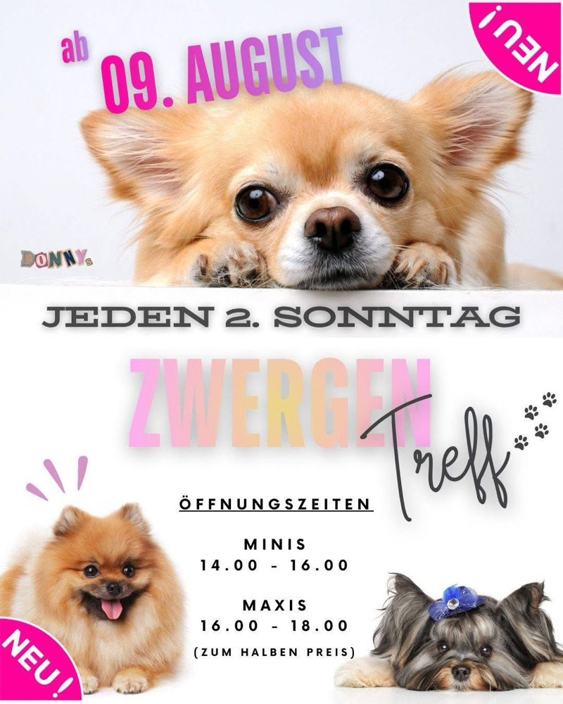 Hundetreffen-https://www.donnys-deinhundetreff.de/-Profilbild