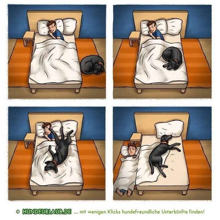 Hundetreffen-Gassirunde im Illerwinkel-Profilbild