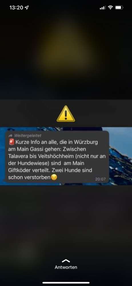 Giftköder-Giftköder-Profilbild