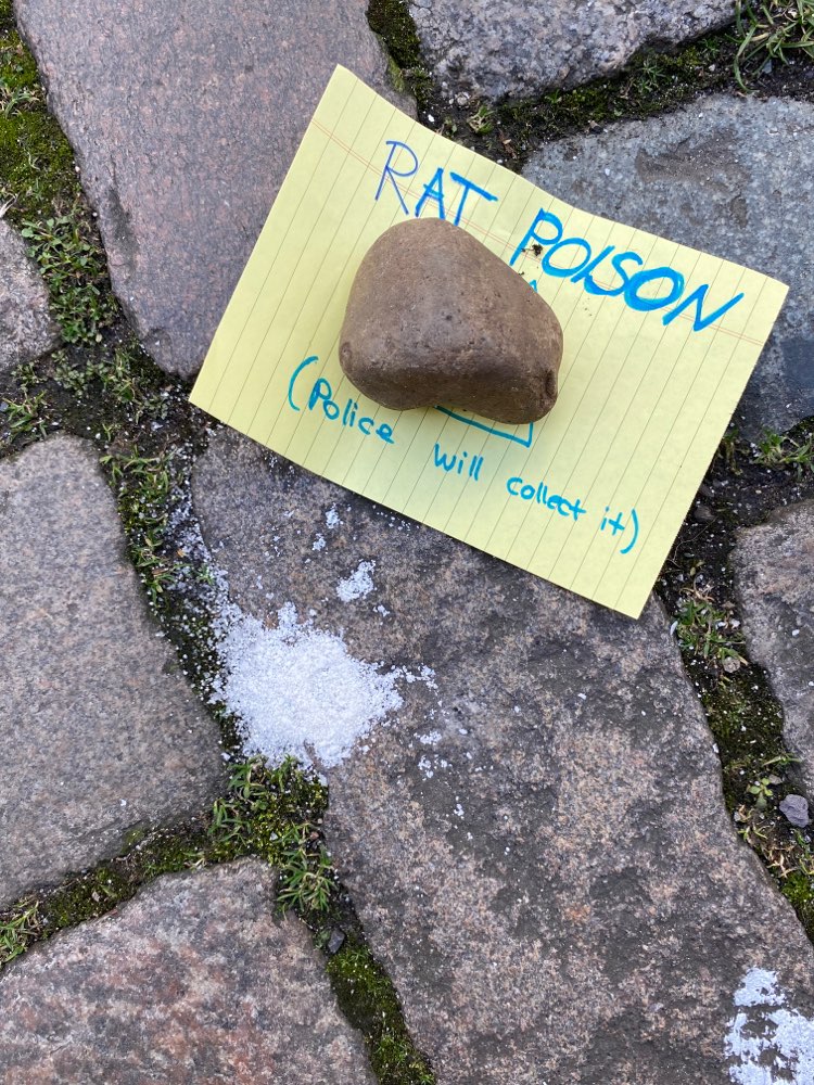 Giftköder-Weißes Pulver (Rattengift)-Profilbild