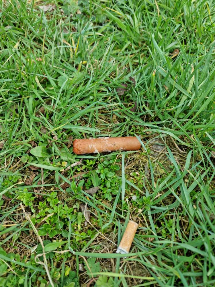 Giftköder-Giftköder-Profilbild