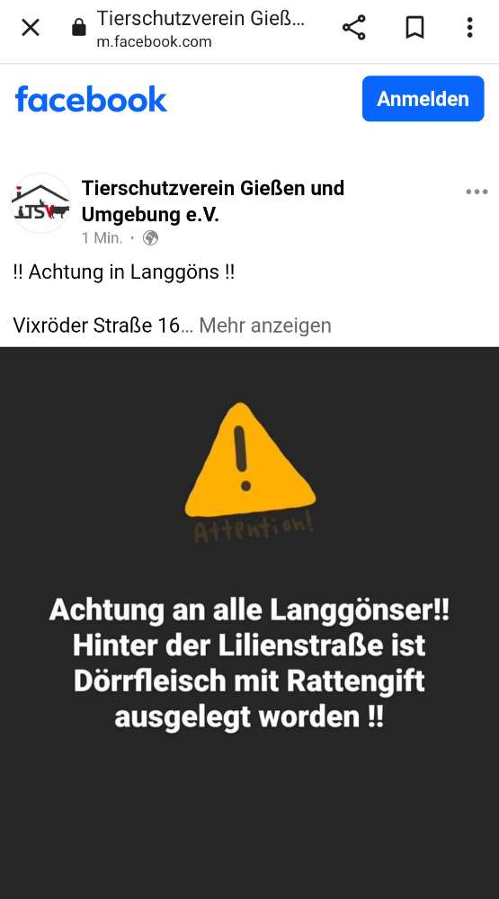 Giftköder-Dörrfleisch mit Rattengift-Profilbild