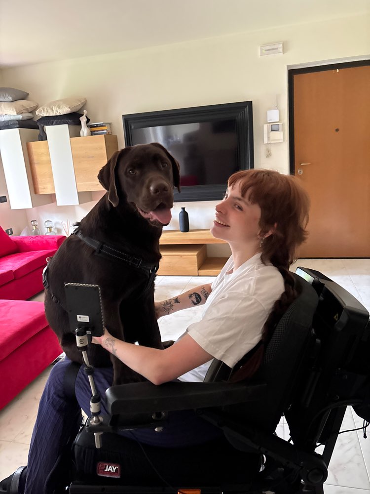 Hundetreffen-Lucio & Lina suchen souveränen Spiel Buddy in Augsburg-Profilbild