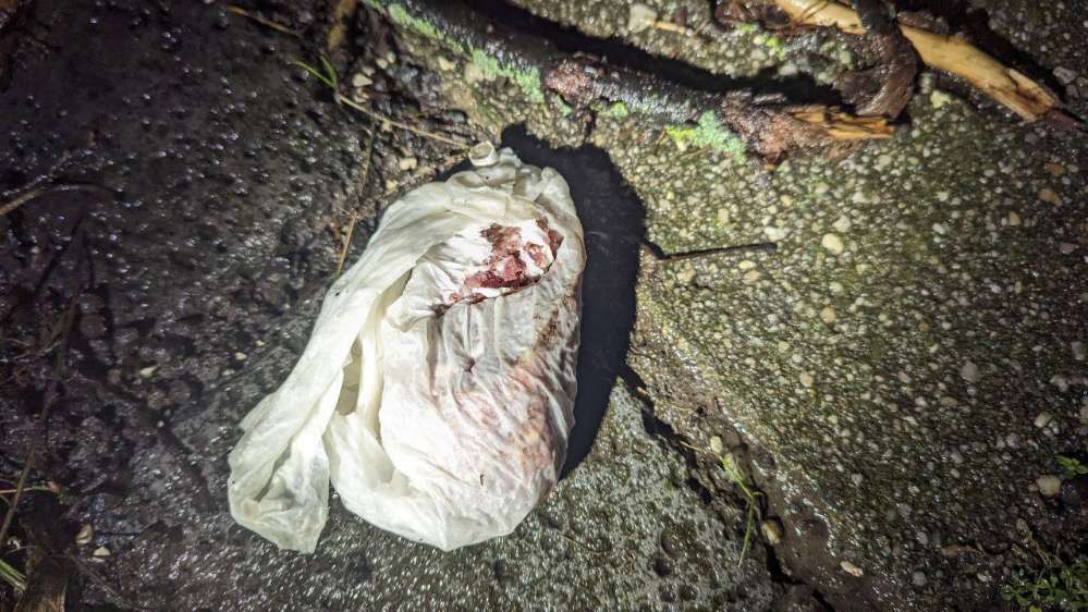 Giftköder-Giftköder-Profilbild