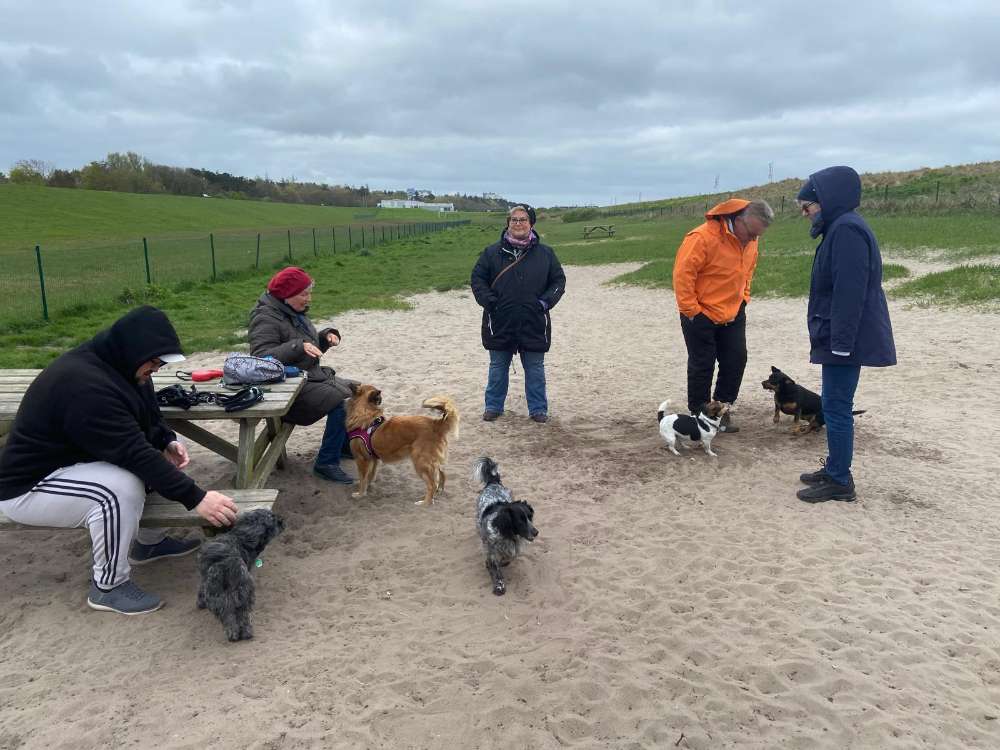 Hundetreffen-Kleine Hundetreff-Profilbild