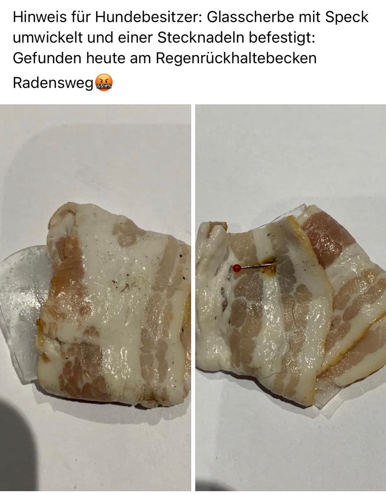 Giftköder-Glasscherben mit Speck-Profilbild