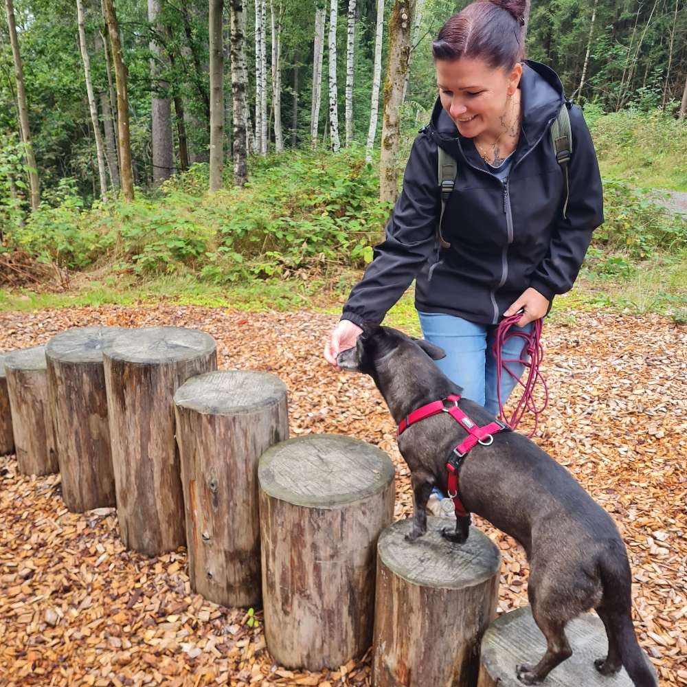 Hundetreffen-Spaziergänge mit Senioren-Profilbild