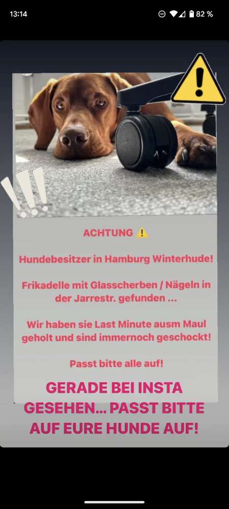 Giftköder-Frikadellen mit Glasscherben/Nägeln-Profilbild