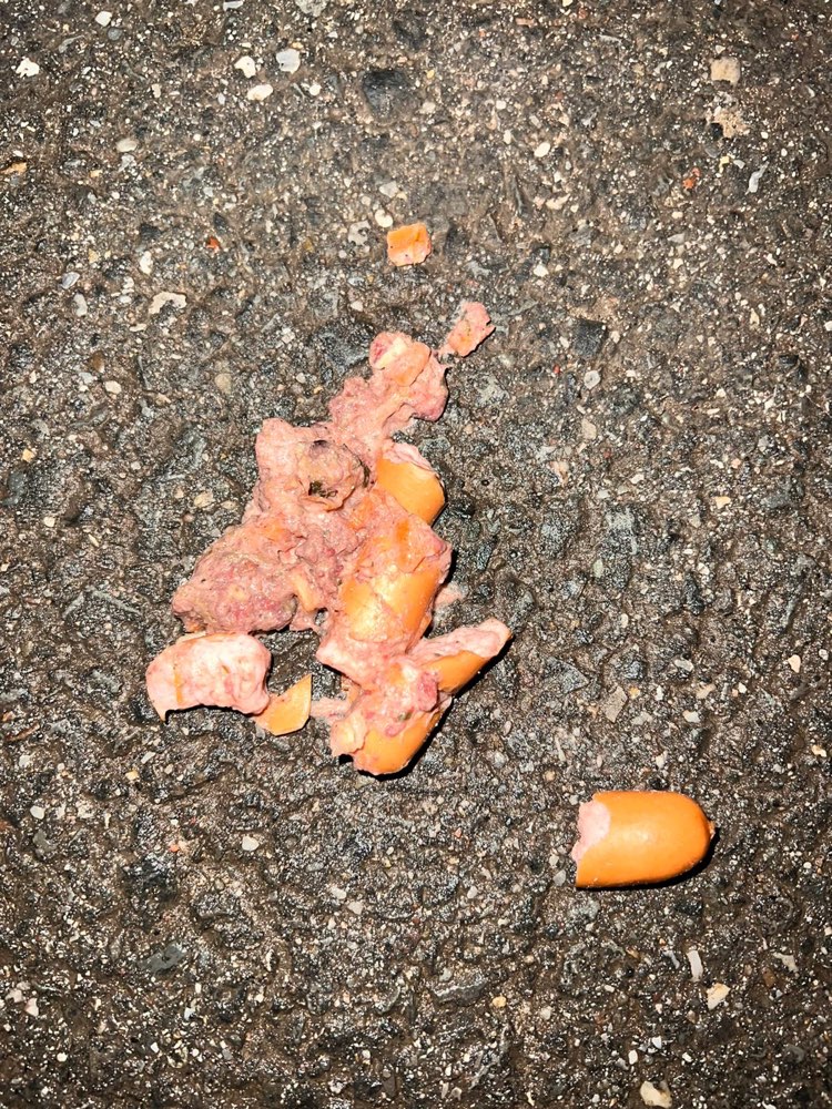 Giftköder-Möglicher Giftköder-Profilbild