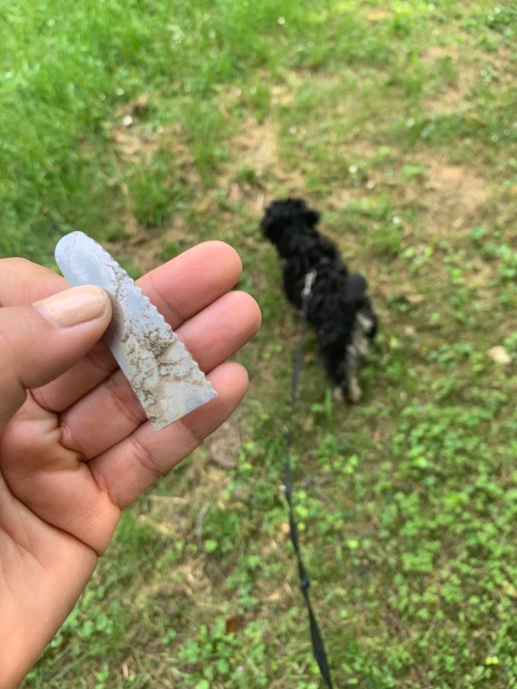 Giftköder-Halbes Messer-Profilbild