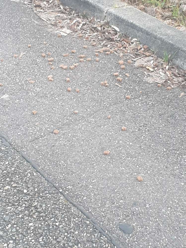 Giftköder-Brotstücke auf dem Weg-Profilbild