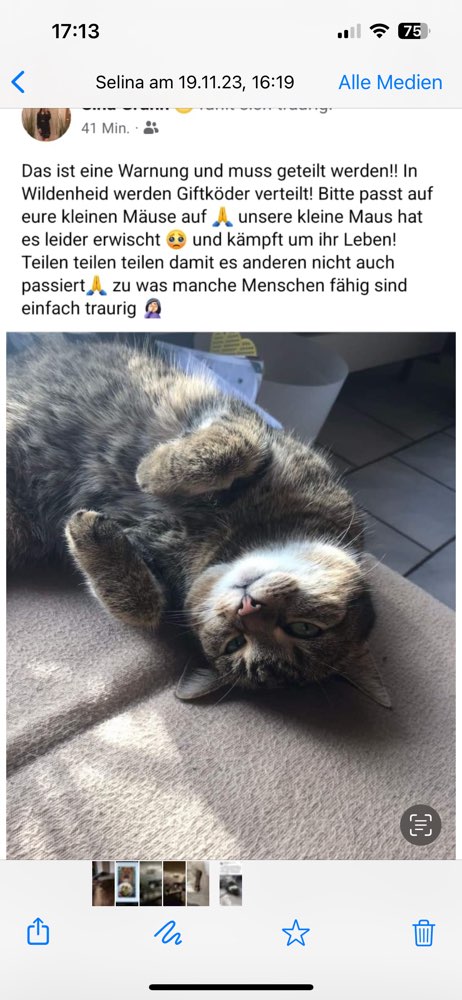 Giftköder-Giftköder in  Garten geworfen-Profilbild