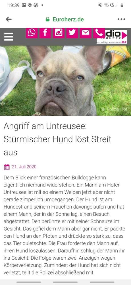 Giftköder-Mann greift Hund und Hundehaltern an-Profilbild