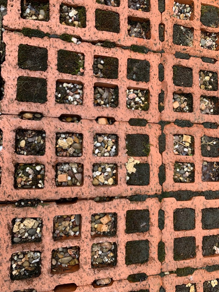 Giftköder-Fleisch Stücke ausgelegt-Profilbild