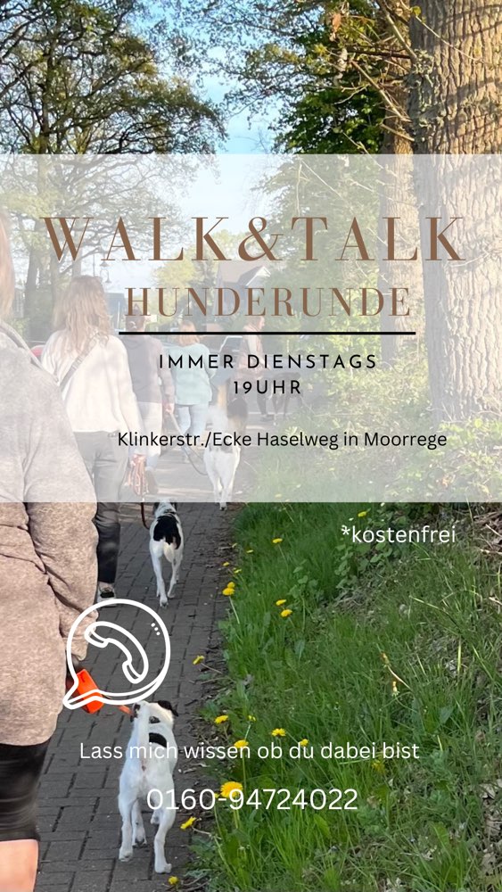 Hundetreffen-Walk & Talk jeden Dienstag-Profilbild