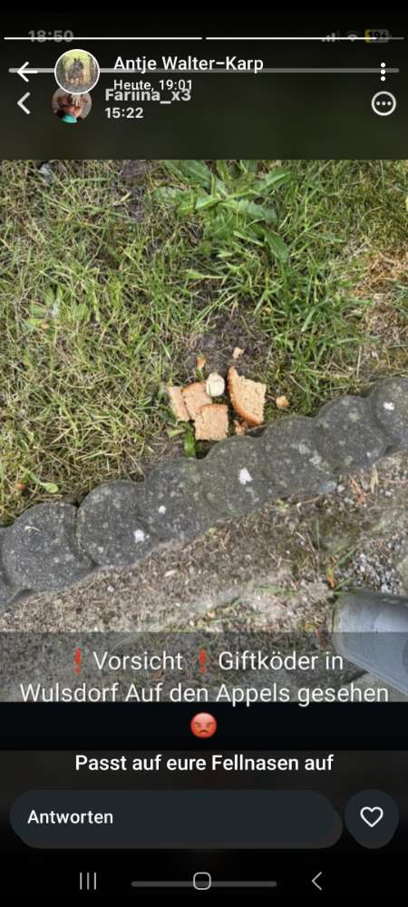 Giftköder-Giftköder Auf den Appels-Profilbild