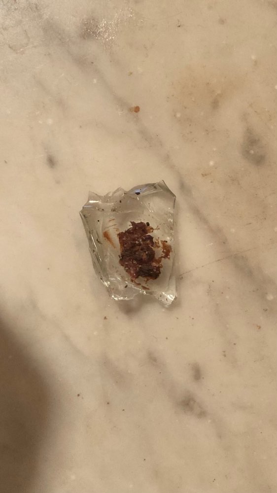 Giftköder-Glasscherbe-Profilbild