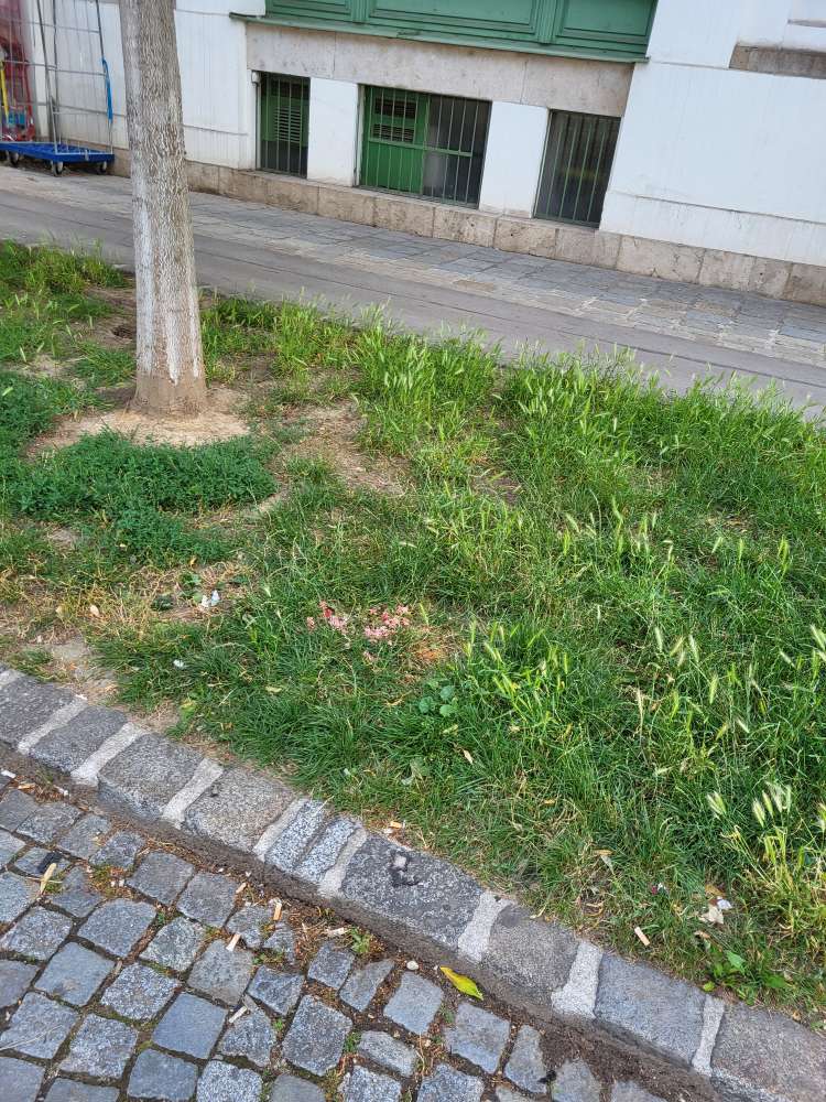 Giftköder-Rohes Fleisch mit weißem Pulver-Profilbild