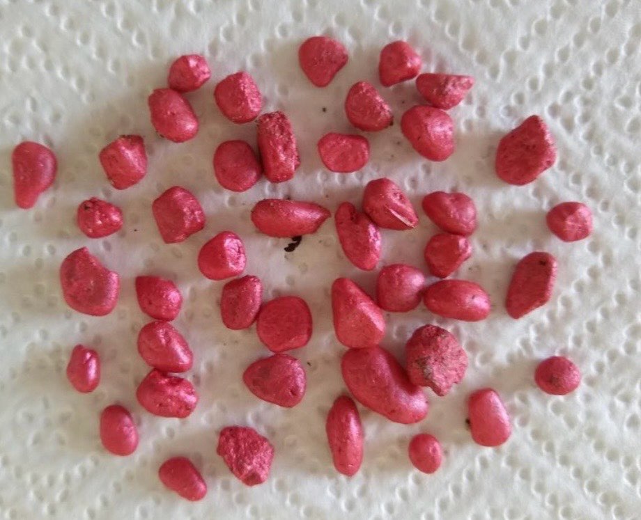 Giftköder-Möglicherweise Giftköder!!!-Profilbild