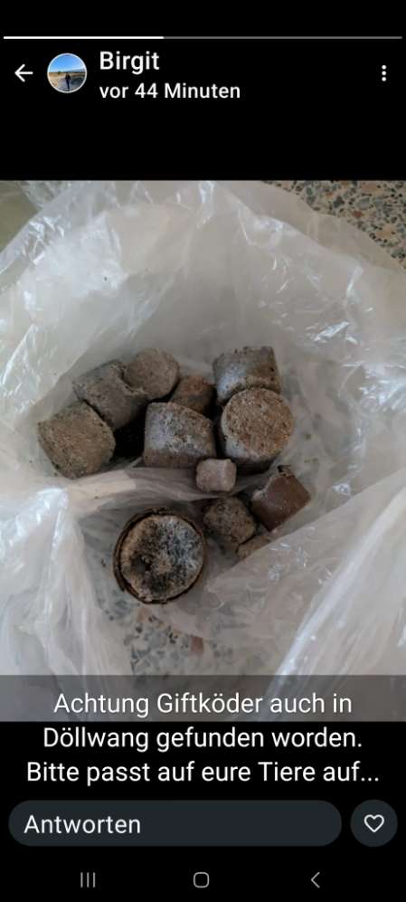 Giftköder-Giftköder-Profilbild