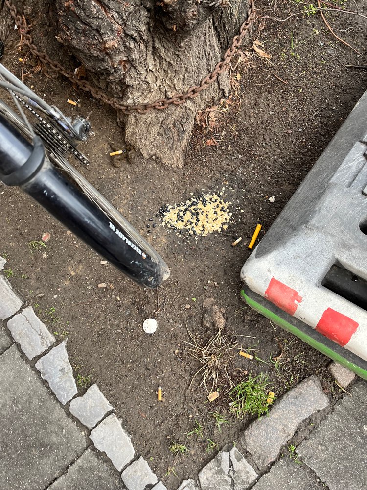 Giftköder-Möglicher Giftköder-Profilbild