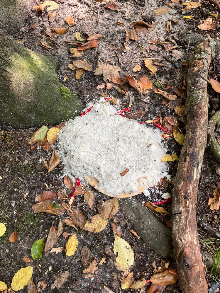 Giftköder-Evtl. Giftköder-Profilbild