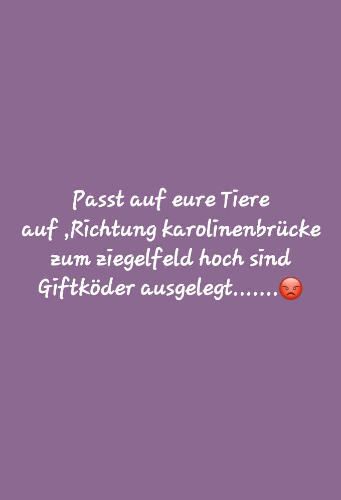 Giftköder-Giftköder-Profilbild