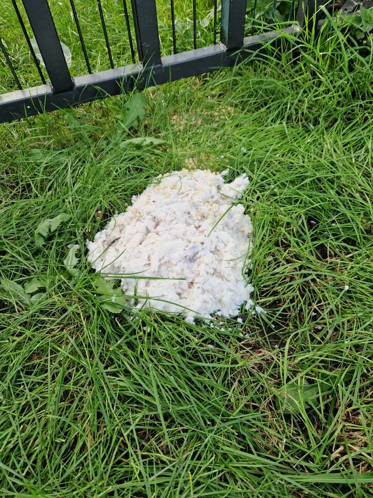 Giftköder-Unklare Masse-Profilbild