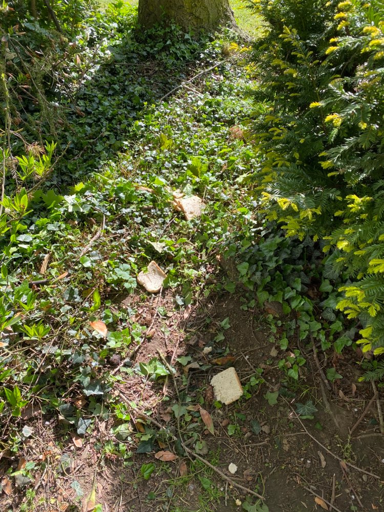 Giftköder-Ausgelegtes Brot-Profilbild
