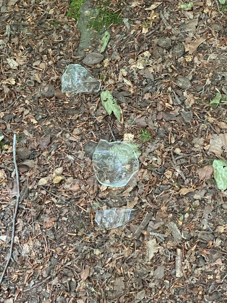 Giftköder-Scherben in Gestrüpp-Profilbild