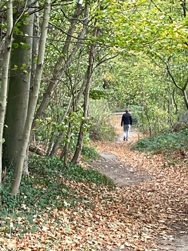 Giftköder-Evtl. Giftköder-Profilbild