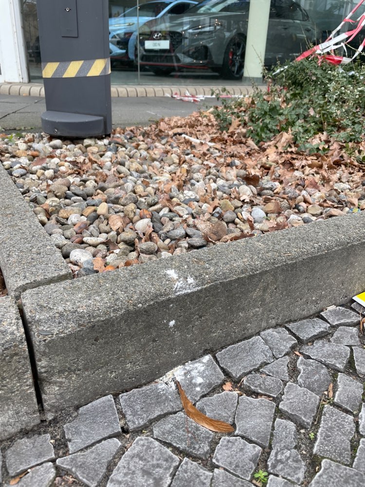 Giftköder-Mehrere Stellen mit weißem Pulver-Profilbild