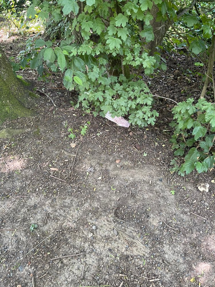 Giftköder-Giftköder in Heisterbacherrott-Profilbild