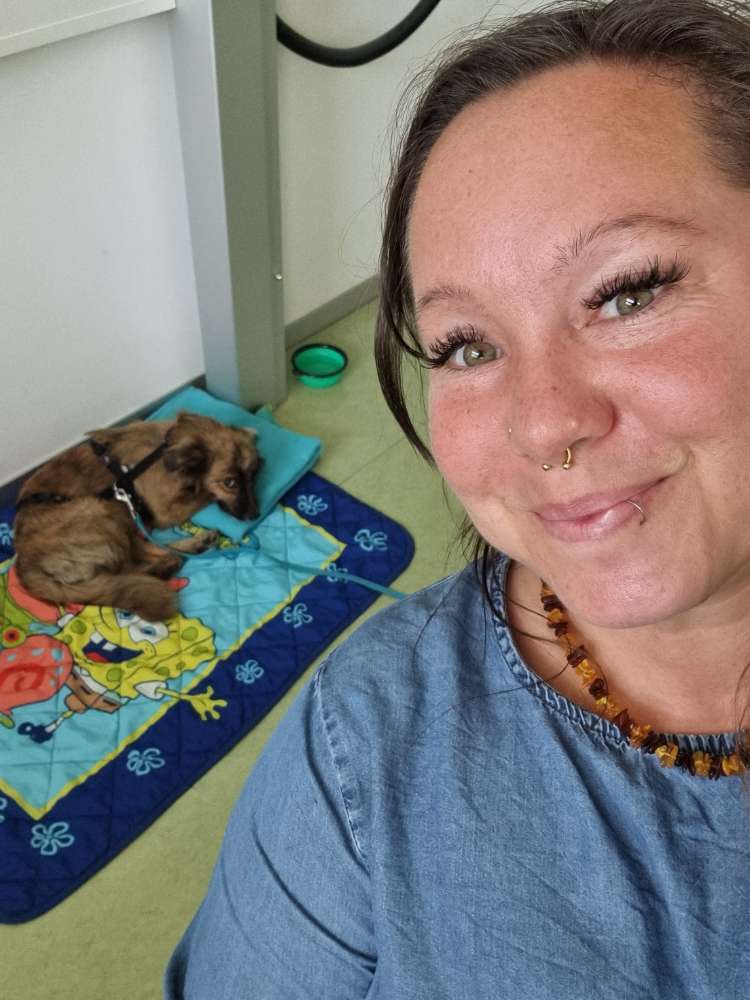 Hundetreffen-Gassigehen für schüchternen Rüden-Profilbild