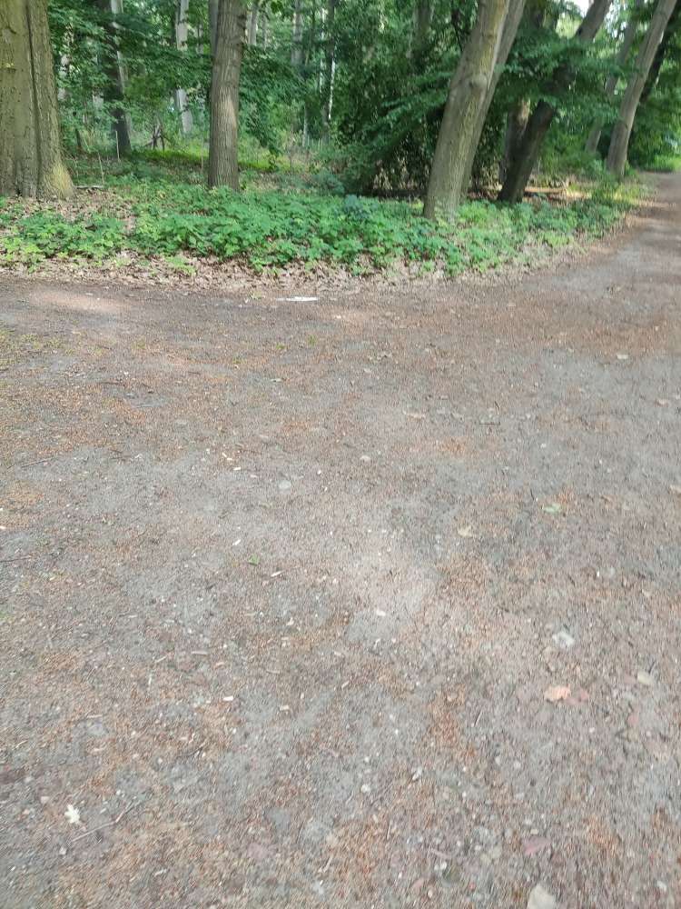 Giftköder-weisses pulver-Profilbild