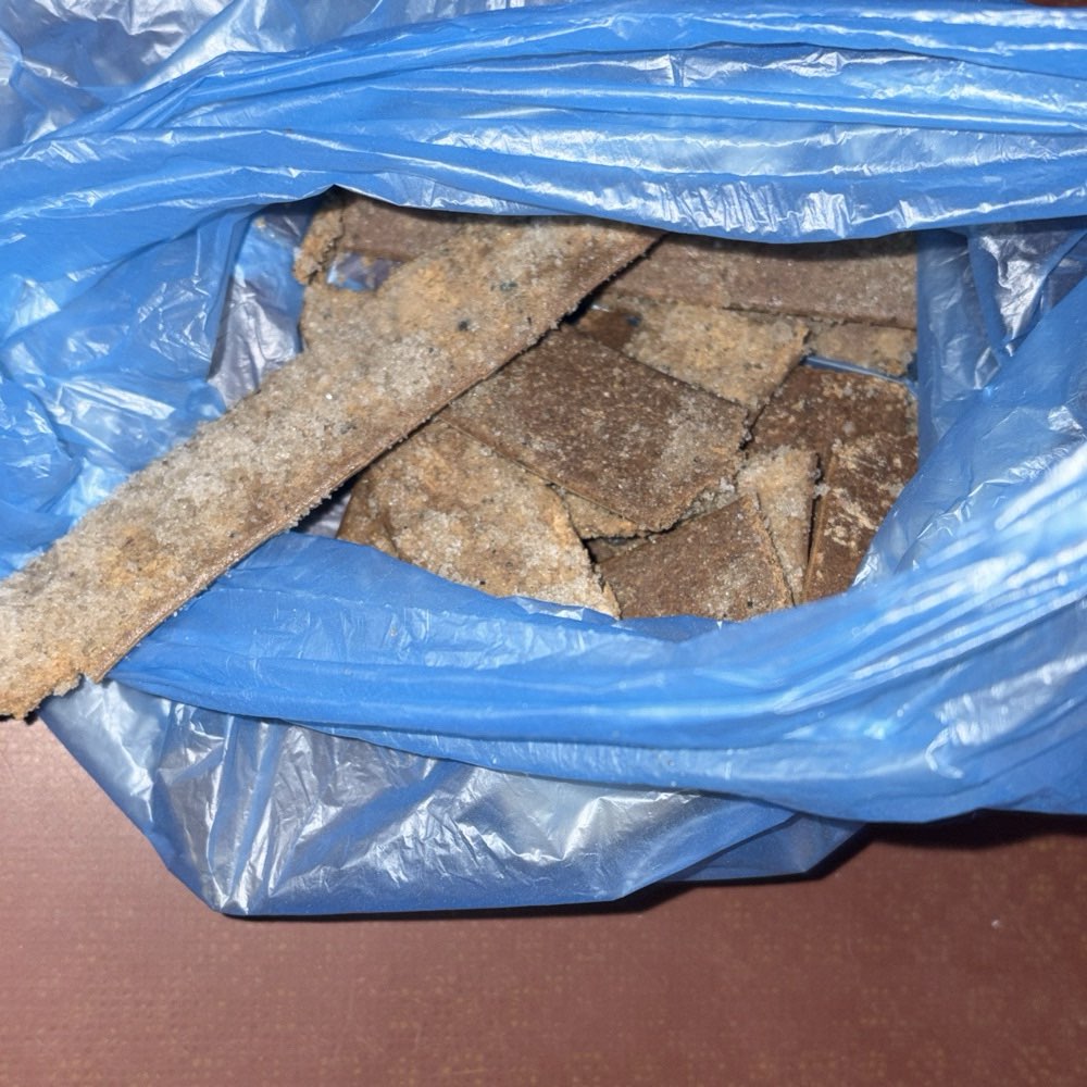 Giftköder-Vermutlich Giftköder-Profilbild