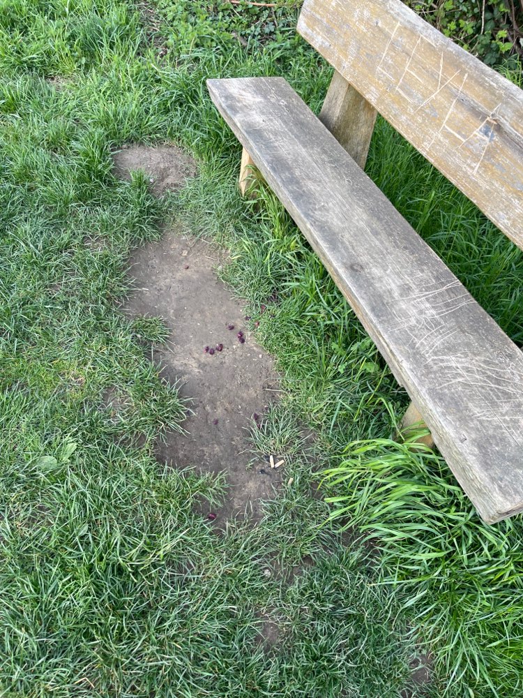 Giftköder-Evtl. Giftköder-Profilbild