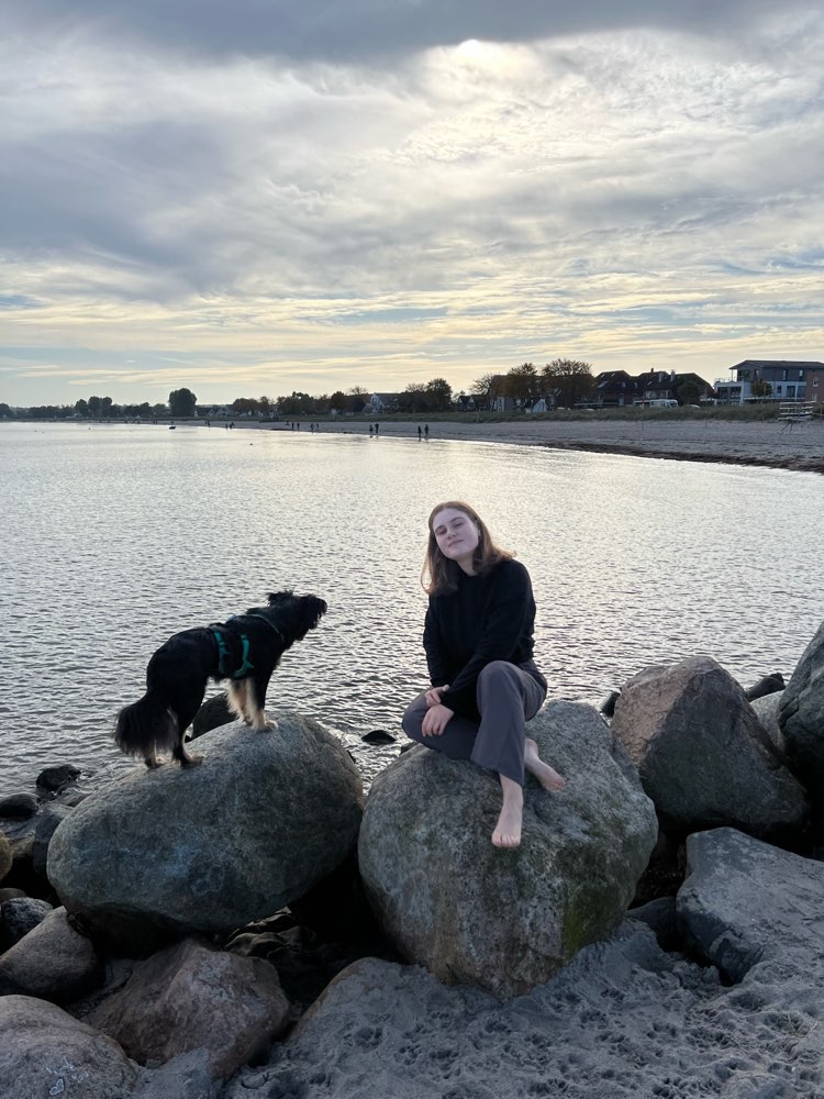 Hundetreffen-Wandern, Spielen & Training-Profilbild