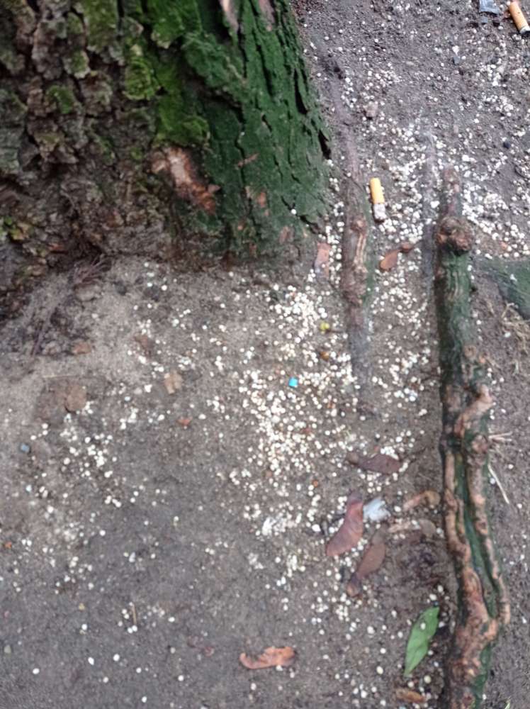 Giftköder-Rattengift-Profilbild