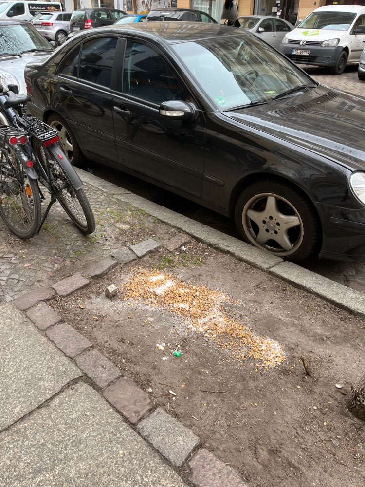 Giftköder-Weißes Pulver mit Vogelfutter vermischt-Profilbild