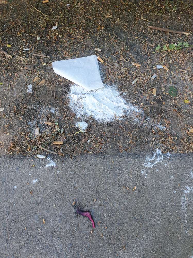 Giftköder-White powder-Profilbild