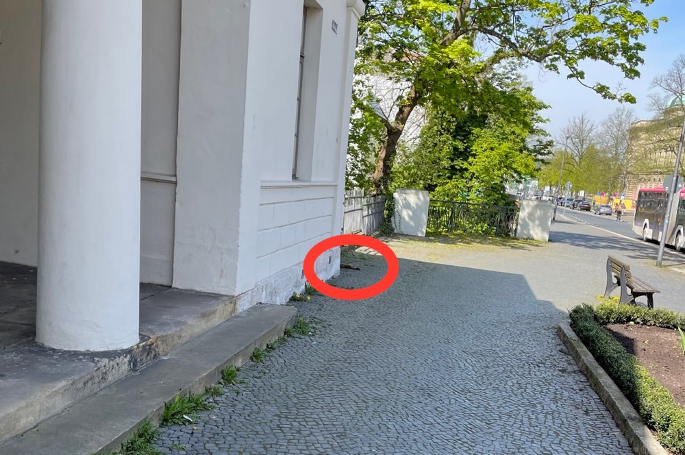 Giftköder-Totes Kaninchen-Profilbild