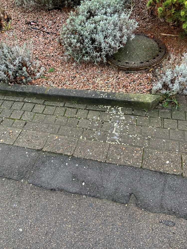 Giftköder-Undefinierbare Kugeln Do-Wellinghofen-Profilbild