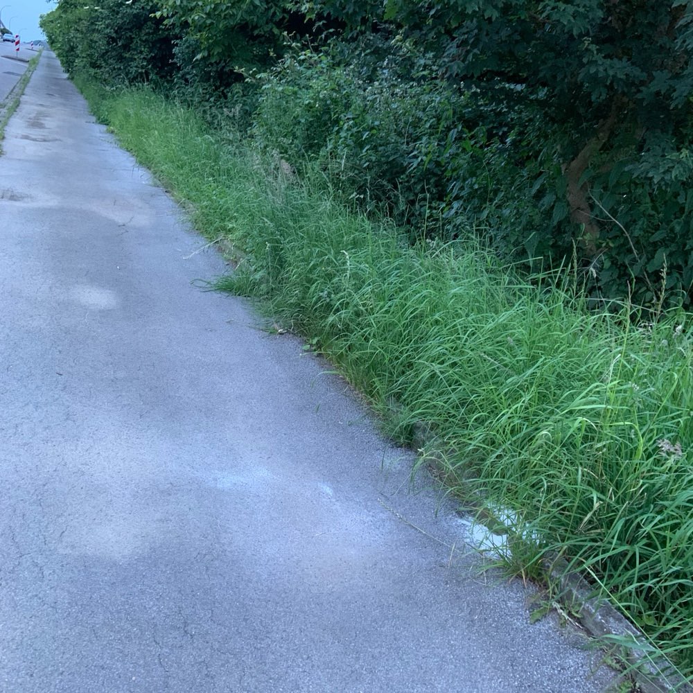 Giftköder-Niederhofer Kohlenweg Wellinghofen-Profilbild