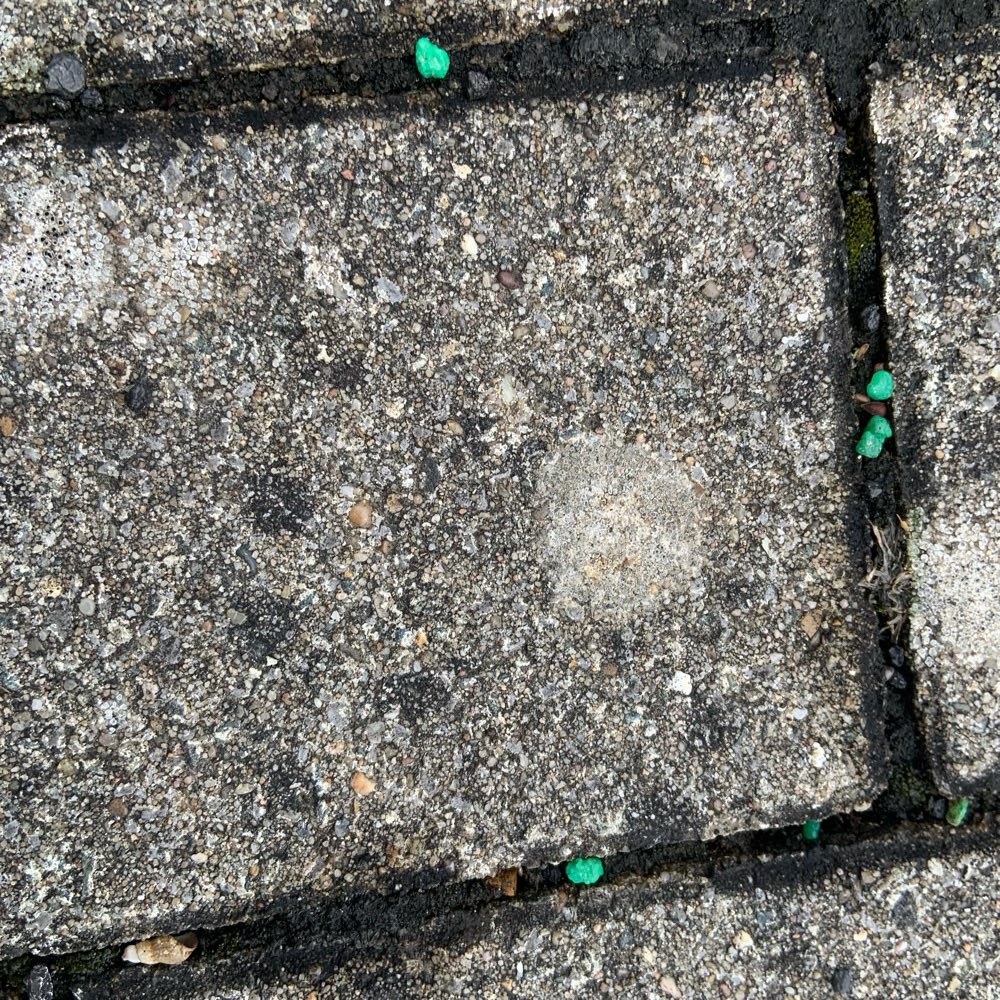 Giftköder-Grüne Pallets-Profilbild